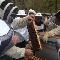 IMG_4694.jpg