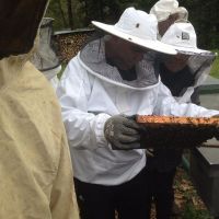 IMG_4692.jpg