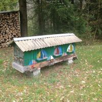 IMG_4629.jpg